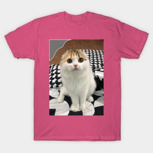 The little cute cats fold T-Shirt